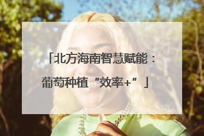 北方海南智慧赋能：葡萄种植“效率+”