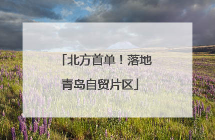 北方首单！落地青岛自贸片区