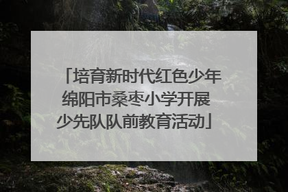 培育新时代红色少年 绵阳市桑枣小学开展少先队队前教育活动