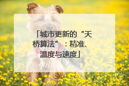 城市更新的“天桥算法”：精准、温度与速度