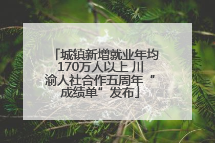 城镇新增就业年均170万人以上 川渝人社合作五周年“成绩单”发布