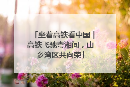 坐着高铁看中国｜高铁飞驰粤湘间，山乡湾区共向荣