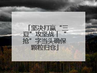 坚决打赢“三夏”攻坚战丨“抢”字当头确保颗粒归仓