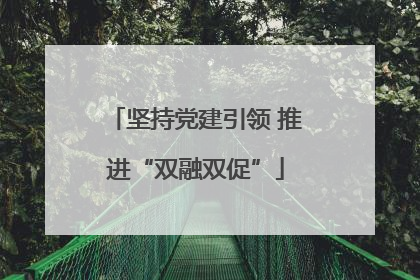 坚持党建引领 推进“双融双促”