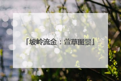 坡岭流金：萱草图景