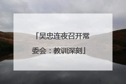 吴忠连夜召开常委会：教训深刻
