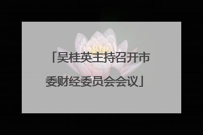 吴桂英主持召开市委财经委员会会议