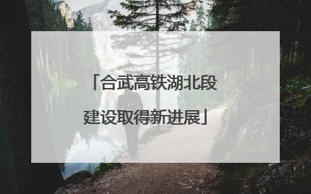 合武高铁湖北段建设取得新进展