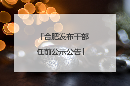 合肥发布干部任前公示公告