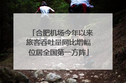 合肥机场今年以来旅客吞吐量同比增幅位居全国第一方阵