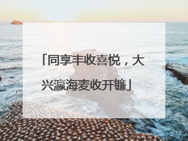同享丰收喜悦，大兴瀛海麦收开镰