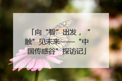 向“智”出发，“触”见未来——“中国传感谷”探访记