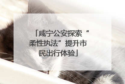 咸宁公安探索“柔性执法”提升市民出行体验