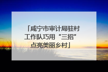 咸宁市审计局驻村工作队巧用“三招”点亮美丽乡村
