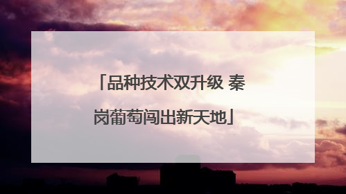 品种技术双升级 秦岗葡萄闯出新天地