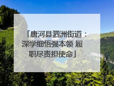 唐河县泗洲街道：深学细悟强本领 履职尽责担使命