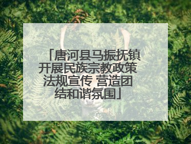 唐河县马振抚镇开展民族宗教政策法规宣传 营造团结和谐氛围