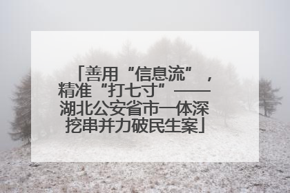 善用“信息流”，精准“打七寸”——湖北公安省市一体深挖串并力破民生案