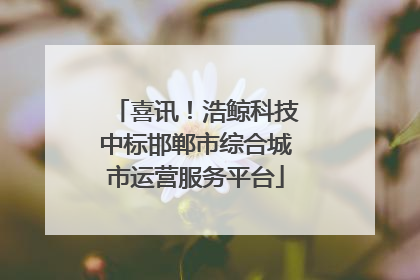 喜讯！浩鲸科技中标邯郸市综合城市运营服务平台