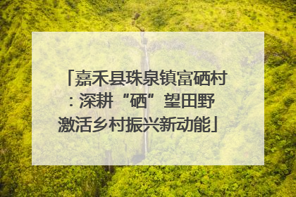 嘉禾县珠泉镇富硒村：深耕“硒”望田野 激活乡村振兴新动能