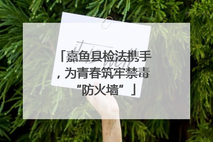 嘉鱼县检法携手，为青春筑牢禁毒“防火墙”