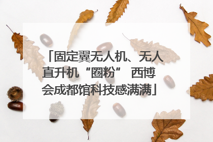 固定翼无人机、无人直升机“圈粉” 西博会成都馆科技感满满
