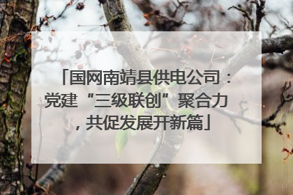 国网南靖县供电公司：党建“三级联创”聚合力，共促发展开新篇