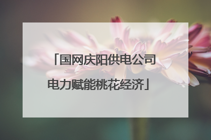 国网庆阳供电公司电力赋能桃花经济