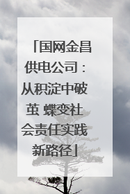 国网金昌供电公司：从积淀中破茧 蝶变社会责任实践新路径