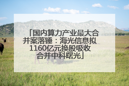 国内算力产业最大合并案落锤：海光信息拟1160亿元换股吸收合并中科曙光