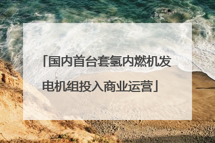 国内首台套氢内燃机发电机组投入商业运营
