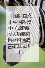 国际首支！中国散裂中子源P波段大功率超构材料速调管研制成功