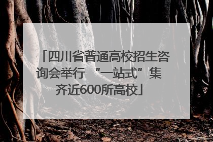 四川省普通高校招生咨询会举行 “一站式”集齐近600所高校