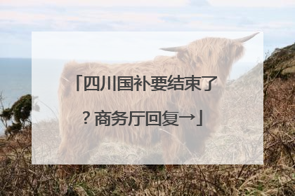 四川国补要结束了？商务厅回复→