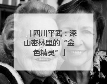 四川平武：深山密林里的“金色精灵”
