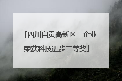 四川自贡高新区一企业荣获科技进步二等奖