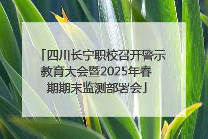 四川长宁职校召开警示教育大会暨2025年春期期末监测部署会
