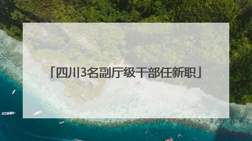 四川3名副厅级干部任新职