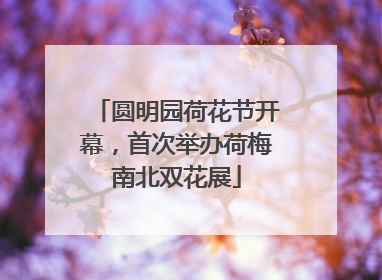 圆明园荷花节开幕，首次举办荷梅南北双花展