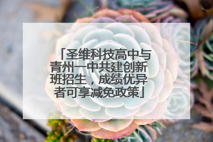 圣维科技高中与青州一中共建创新班招生，成绩优异者可享减免政策