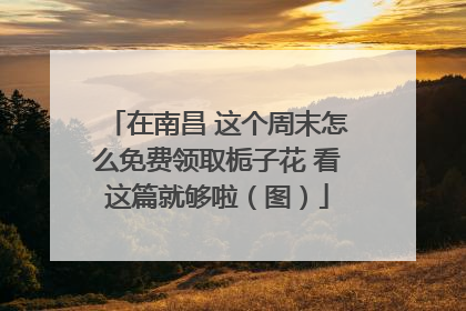 在南昌 这个周末怎么免费领取栀子花 看这篇就够啦（图）