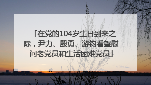 在党的104岁生日到来之际，尹力、殷勇、游钧看望慰问老党员和生活困难党员