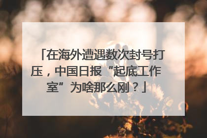 在海外遭遇数次封号打压，中国日报“起底工作室”为啥那么刚？