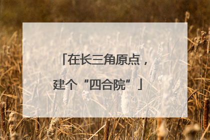 在长三角原点，建个“四合院”