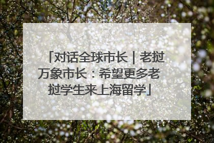 对话全球市长｜老挝万象市长：希望更多老挝学生来上海留学