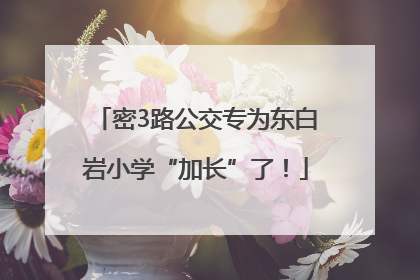 密3路公交专为东白岩小学“加长”了！