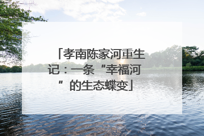 孝南陈家河重生记：一条“幸福河”的生态蝶变