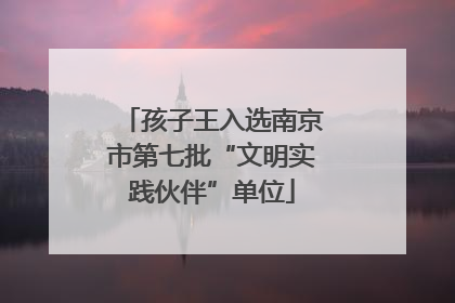 孩子王入选南京市第七批“文明实践伙伴”单位