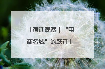 宿迁观察｜“电商名城”的跃迁