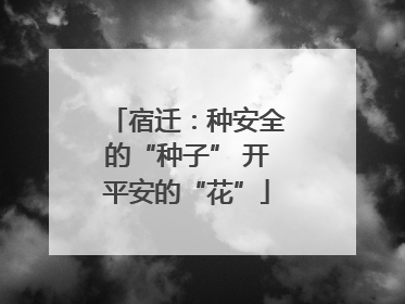 宿迁：种安全的“种子” 开平安的“花”